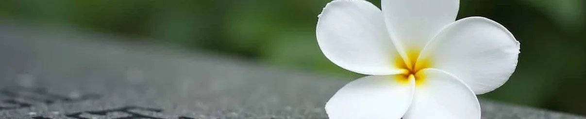 82 Heartfelt Get Well Soon Messages for a Friend