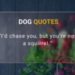 Dog Quotes