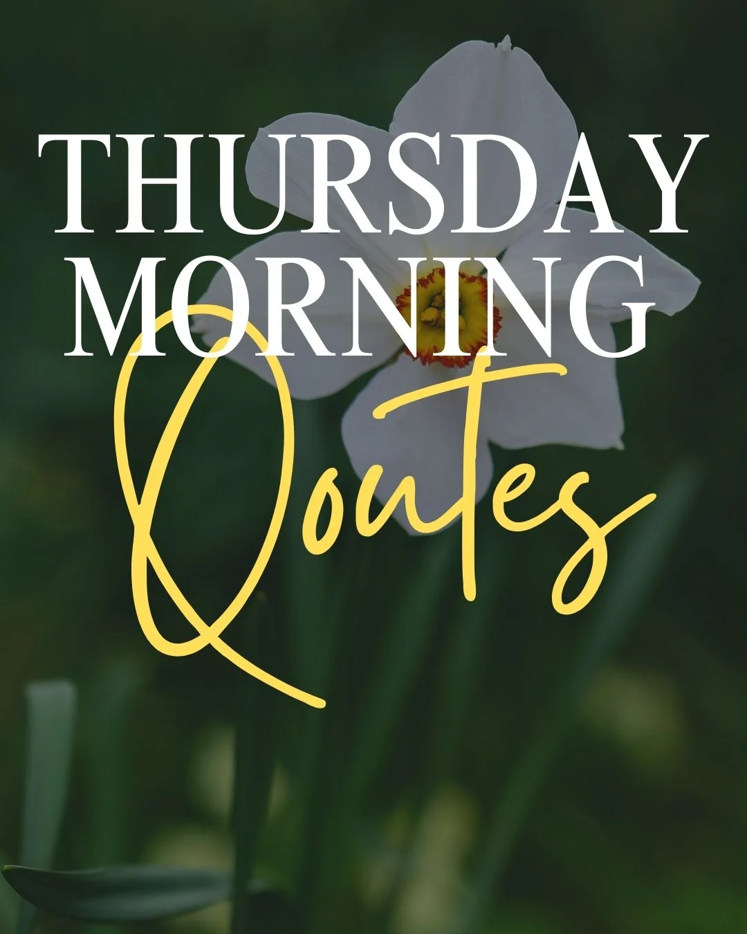 Thursday Morning Quotes